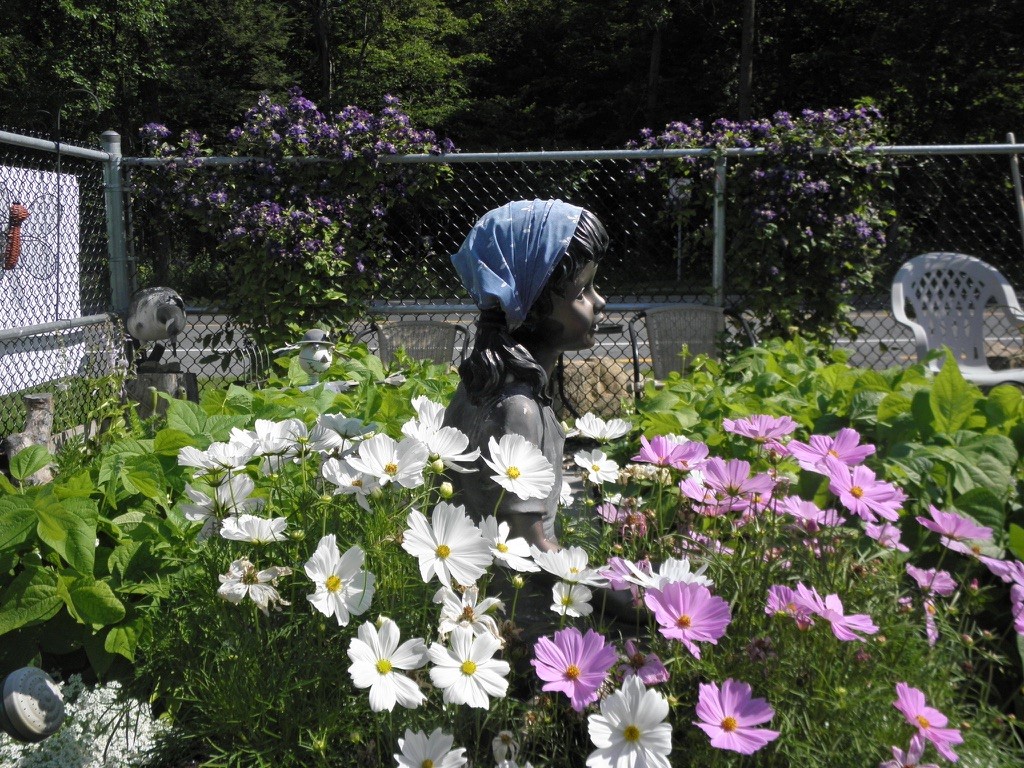Jardin communautaire