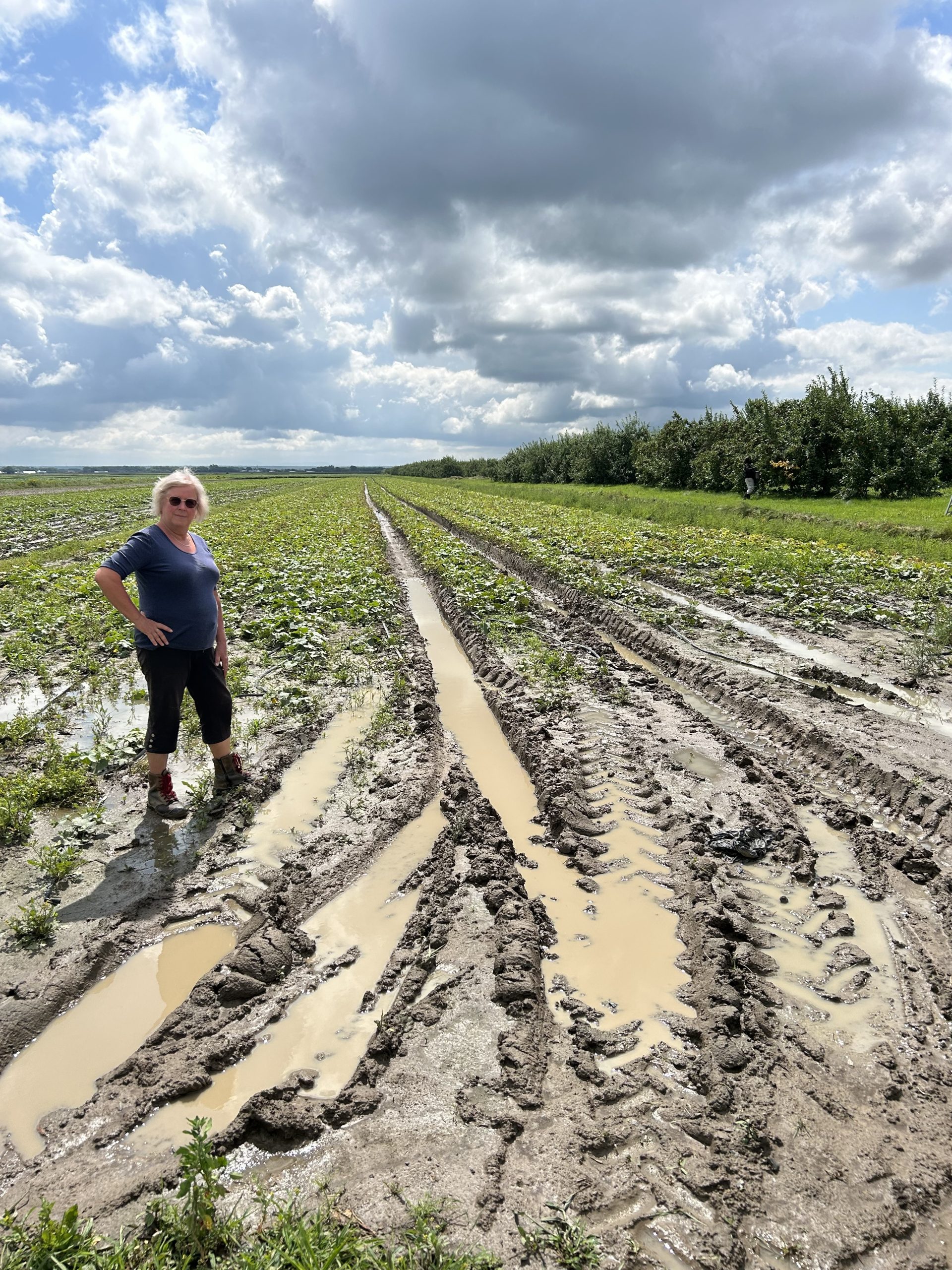 Le cri des champs Le Journal de Chambly