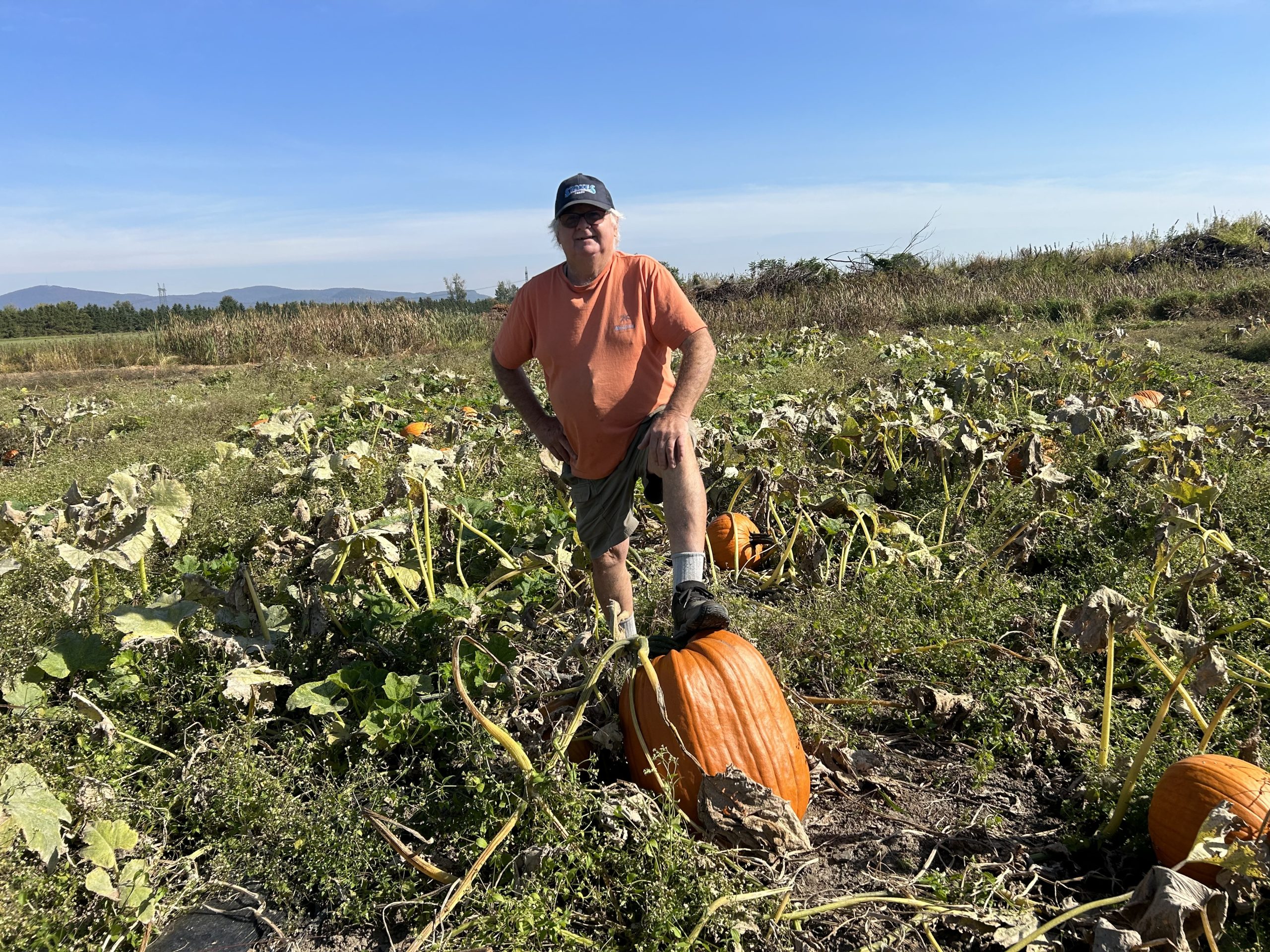 Le temps des citrouilles Le Journal de Chambly